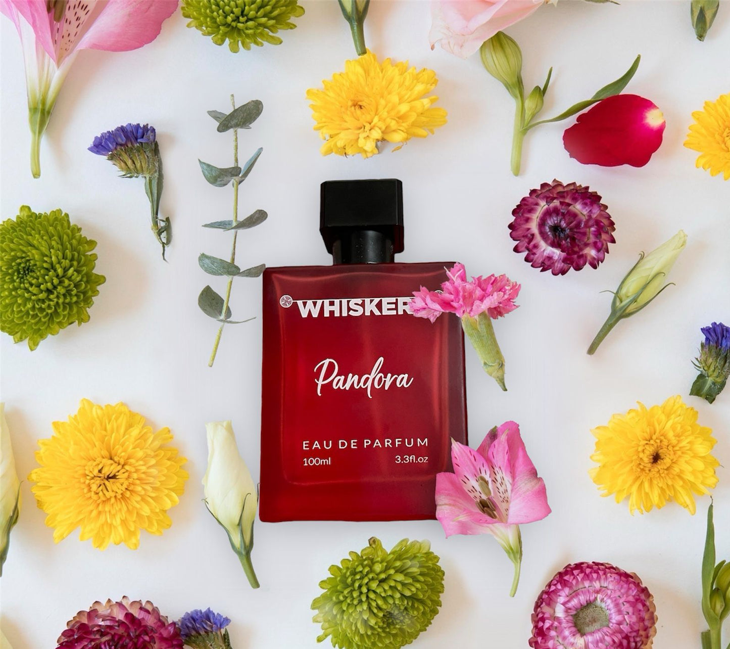 PANDORA EAU DE PARFUM 100ml